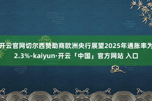 开云官网切尔西赞助商欧洲央行展望2025年通胀率为2.3%-kaiyun·开云「中国」官方网站 入口